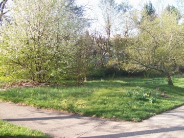 Montford Avenue