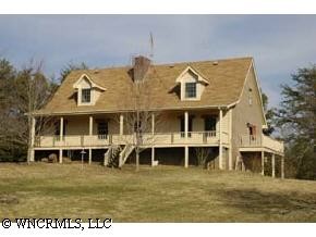 44 Pine Forest